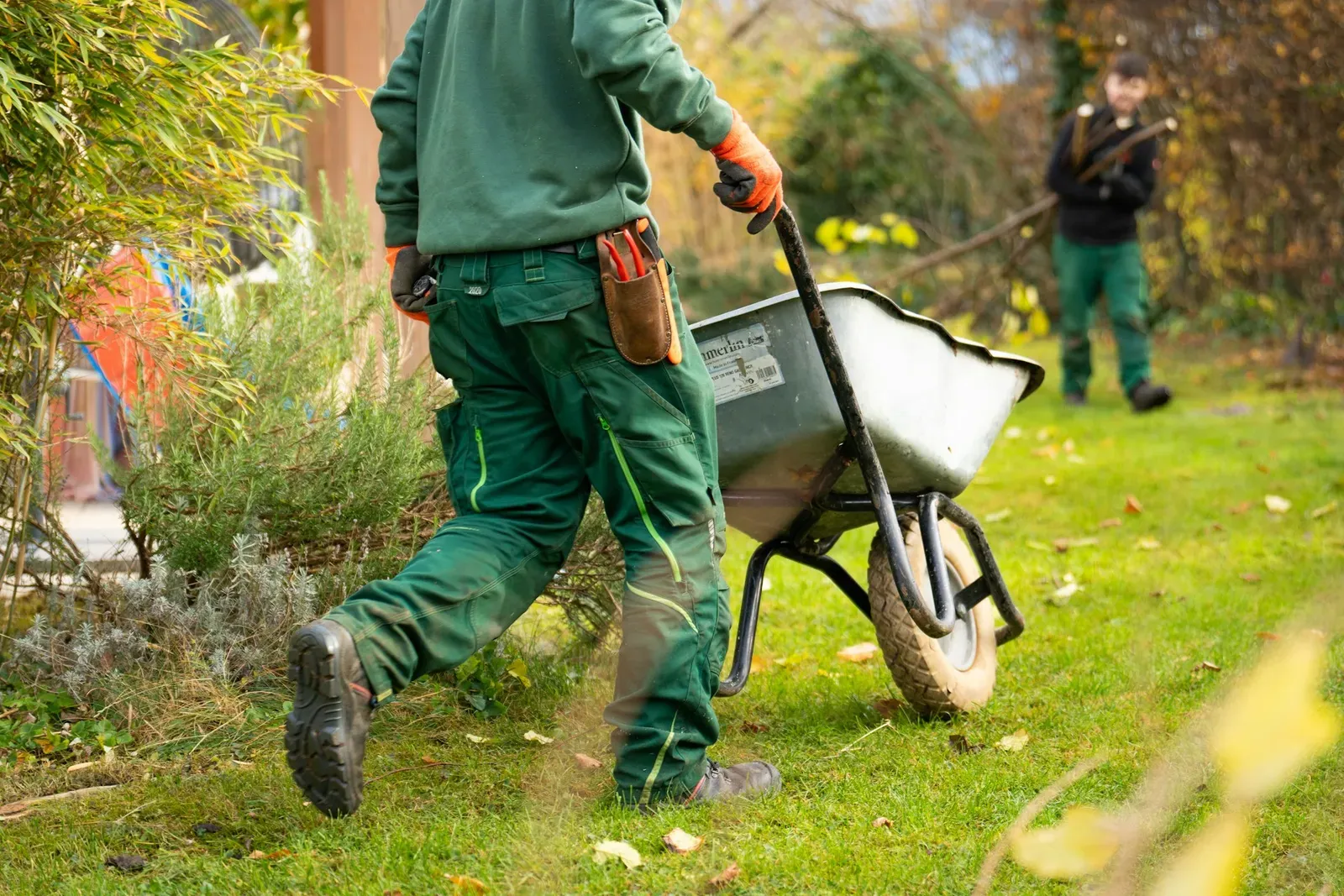 Landscaper pushing a wheelbarrow across a garden lawn